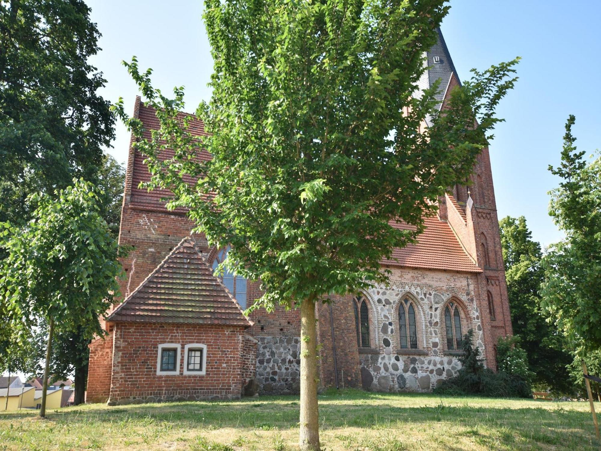 Beautiful In Damgarten With Garden *