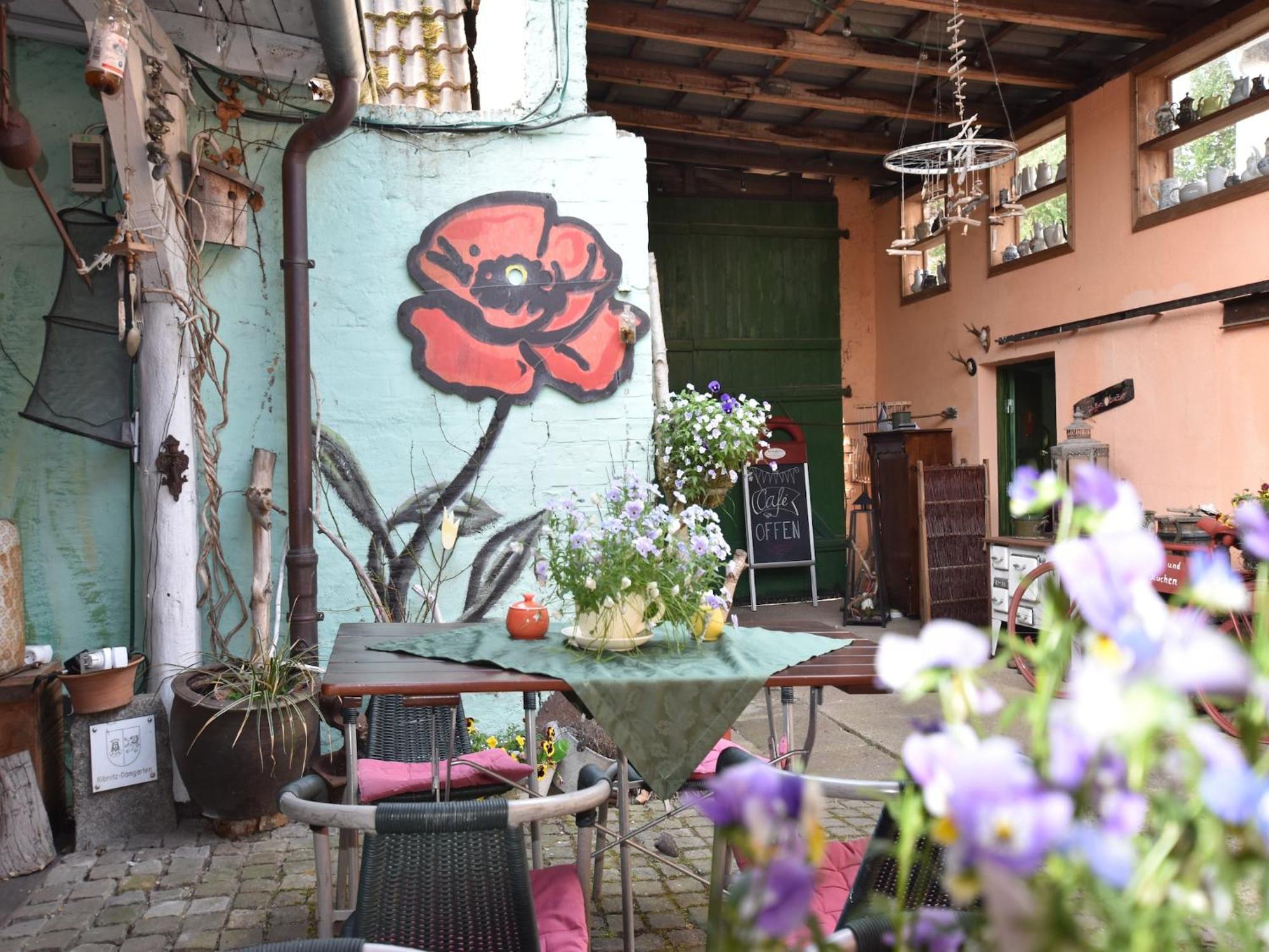 Beautiful In Damgarten With Garden *